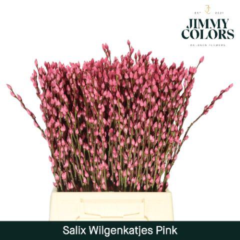 Срезанные цветы оптом Salix paint pussy willow pink от 300шт из Голландии с доставкой по России