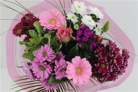 Срезанные цветы оптом Bouquet supra pink от 5шт из Голландии с доставкой по России
