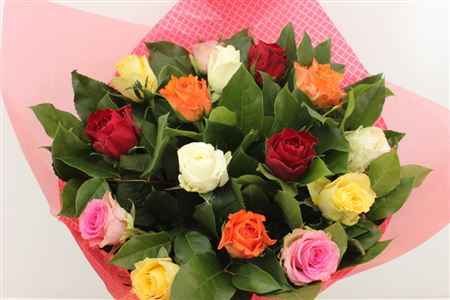 Срезанные цветы оптом Bouquet st mix от 3шт из Голландии с доставкой по России