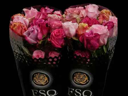 Срезанные цветы оптом Rosa la mix rainbow (mixbunch) от 40шт из Голландии с доставкой по России