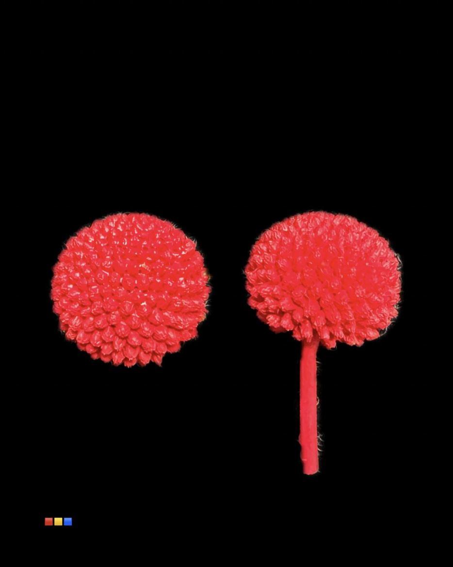 Срезанные цветы оптом Craspedia paint red от 100шт из Голландии с доставкой по России