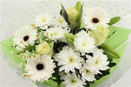 Срезанные цветы оптом Bouquet 4 от 5шт из Голландии с доставкой по России