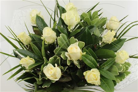 Срезанные цветы оптом Bouquet rosa white 12 от 3шт из Голландии с доставкой по России