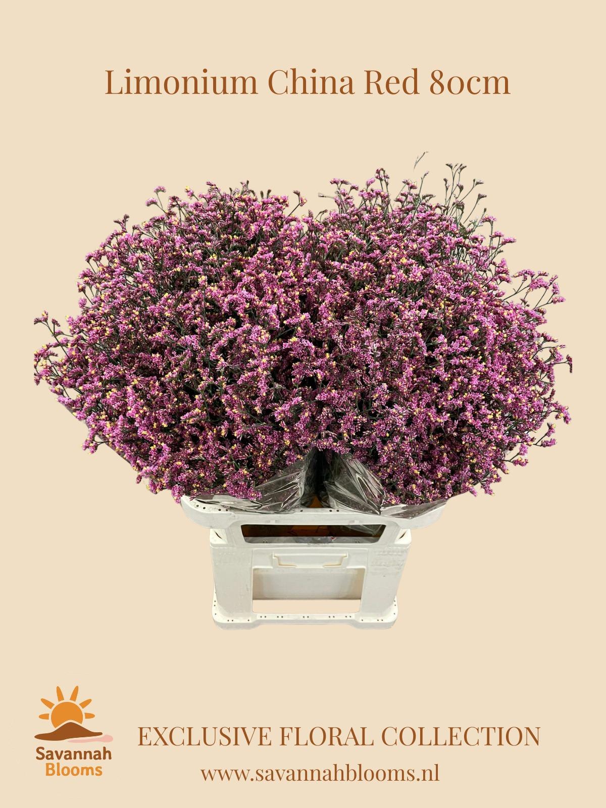 Срезанные цветы оптом Limonium china red от 50шт из Голландии с доставкой по России