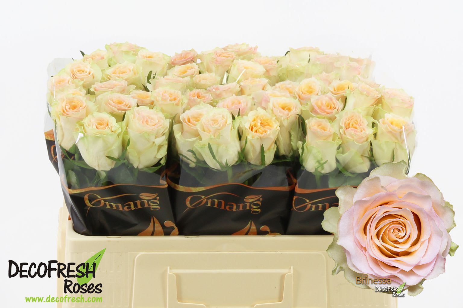 Срезанные цветы оптом Rosa large brinessa от 60шт. из Голландии с доставкой по России