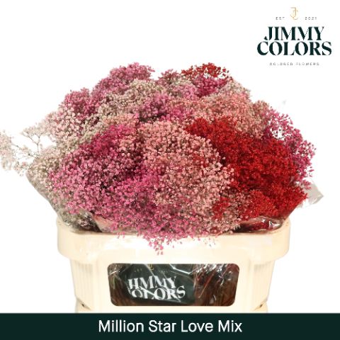 Срезанные цветы оптом Gyps fine paint mix love от 25шт из Голландии с доставкой по России