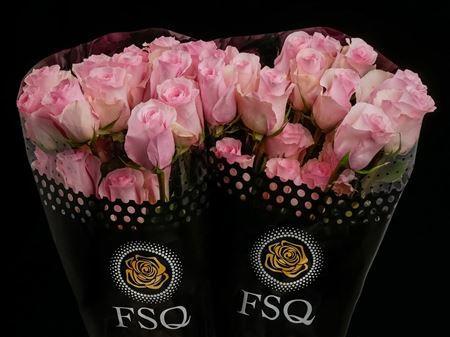 Срезанные цветы оптом Rosa ec christa от 20шт из Голландии с доставкой по России