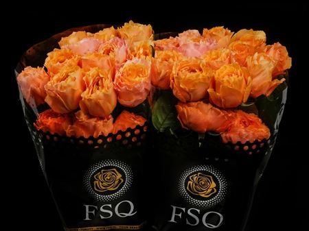 Срезанные цветы оптом Rosa ec caraluna от 36шт из Голландии с доставкой по России