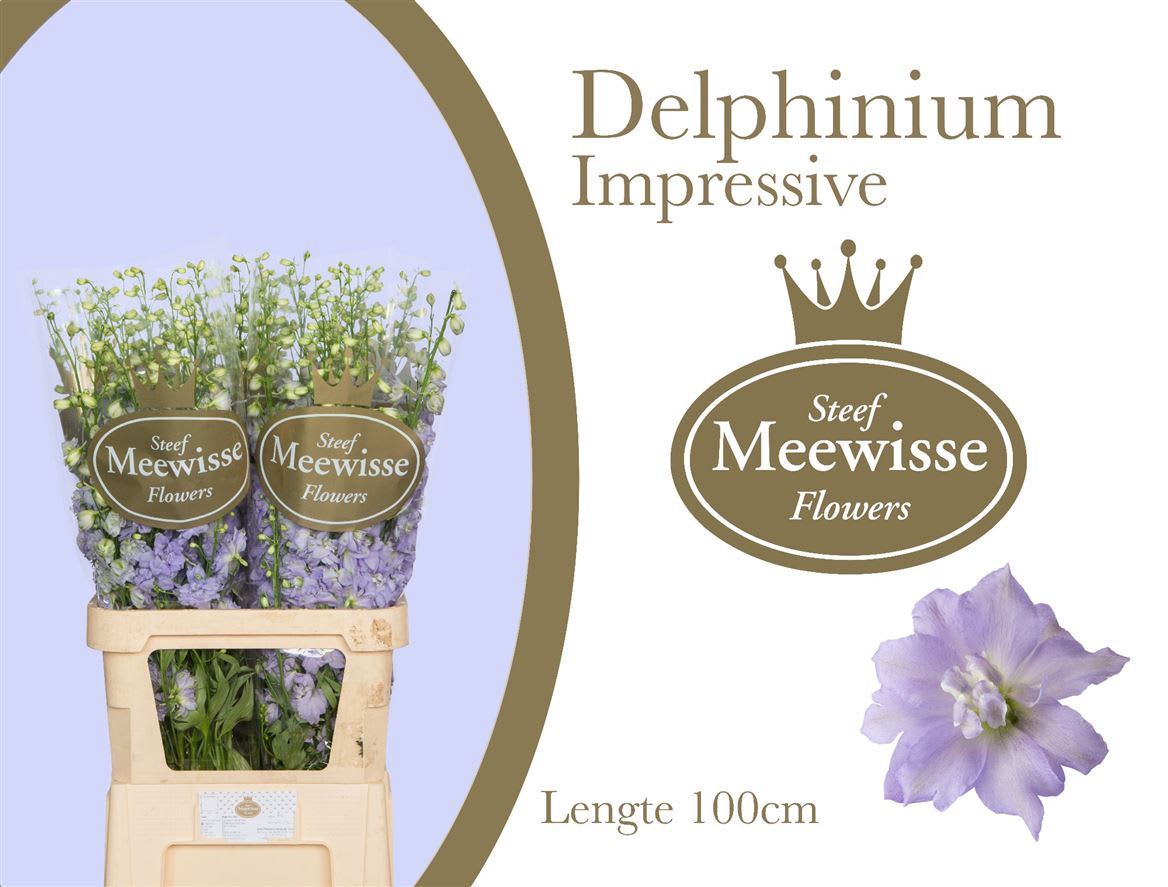 Срезанные цветы оптом Delphinium el du dewi impressive от 40шт из Голландии с доставкой по России