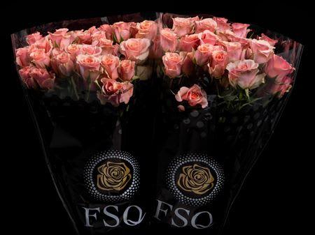 Срезанные цветы оптом Rosa spray ilse от 40шт из Голландии с доставкой по России