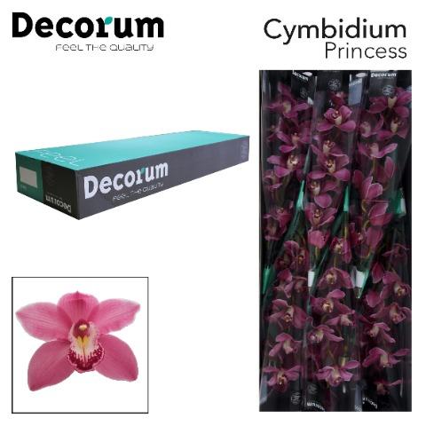 Срезанные цветы оптом Cymbidium pink may monique princess от 6шт из Голландии с доставкой по России