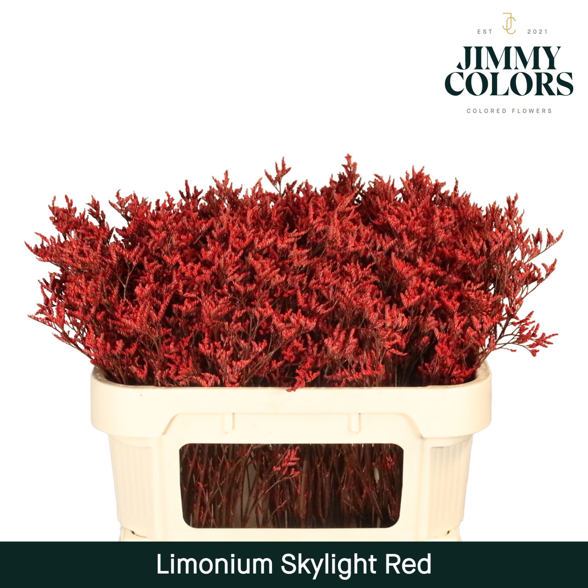 Срезанные цветы оптом Limonium paint red от 50шт из Голландии с доставкой по России