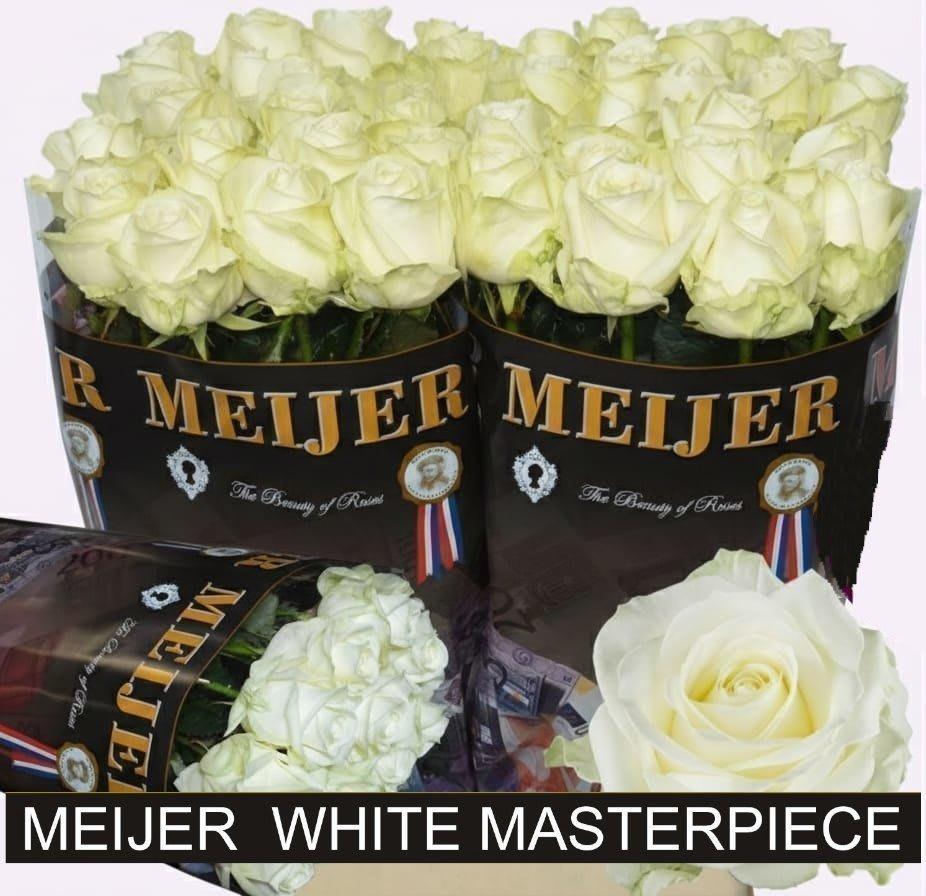 Срезанные цветы оптом Rosa large avalanche+ от 40шт из Голландии с доставкой по России