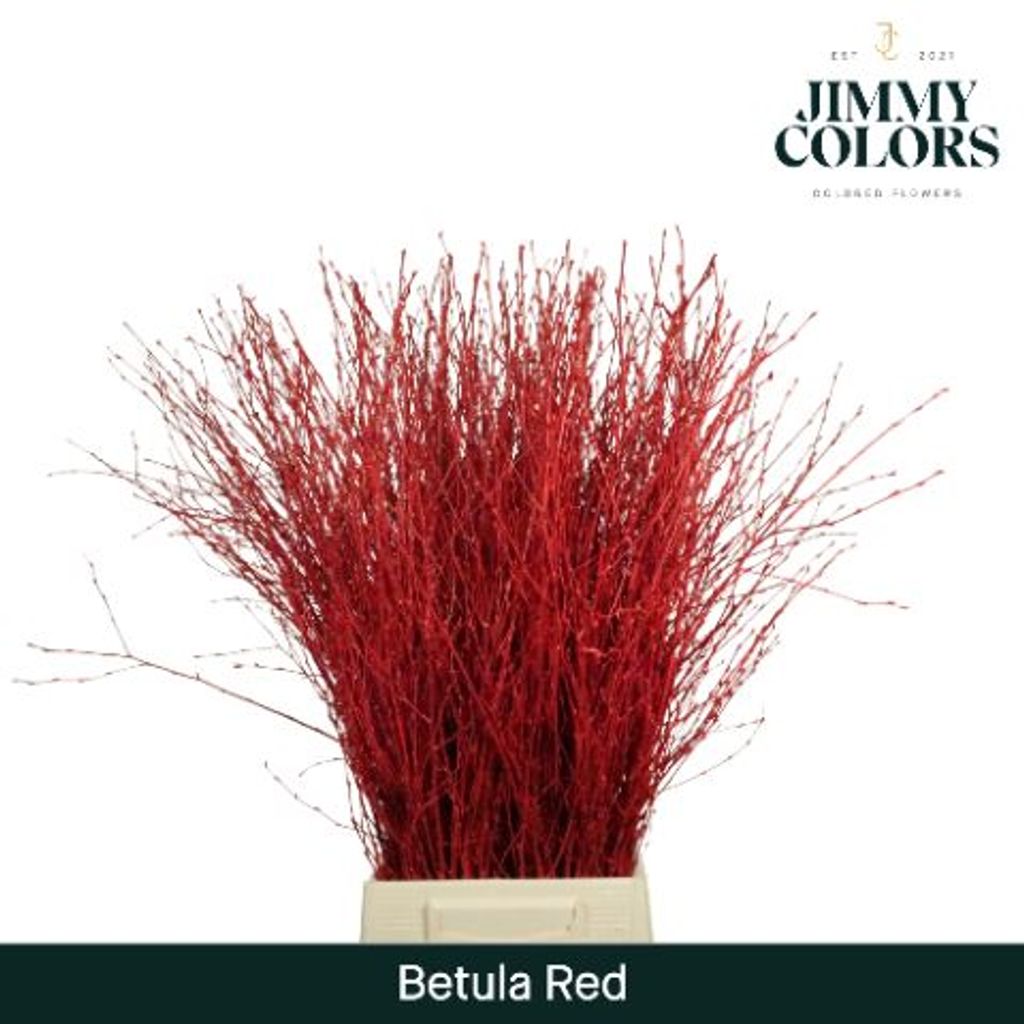 Срезанные цветы оптом Betula paint red от 10шт.. из Голландии с доставкой по России