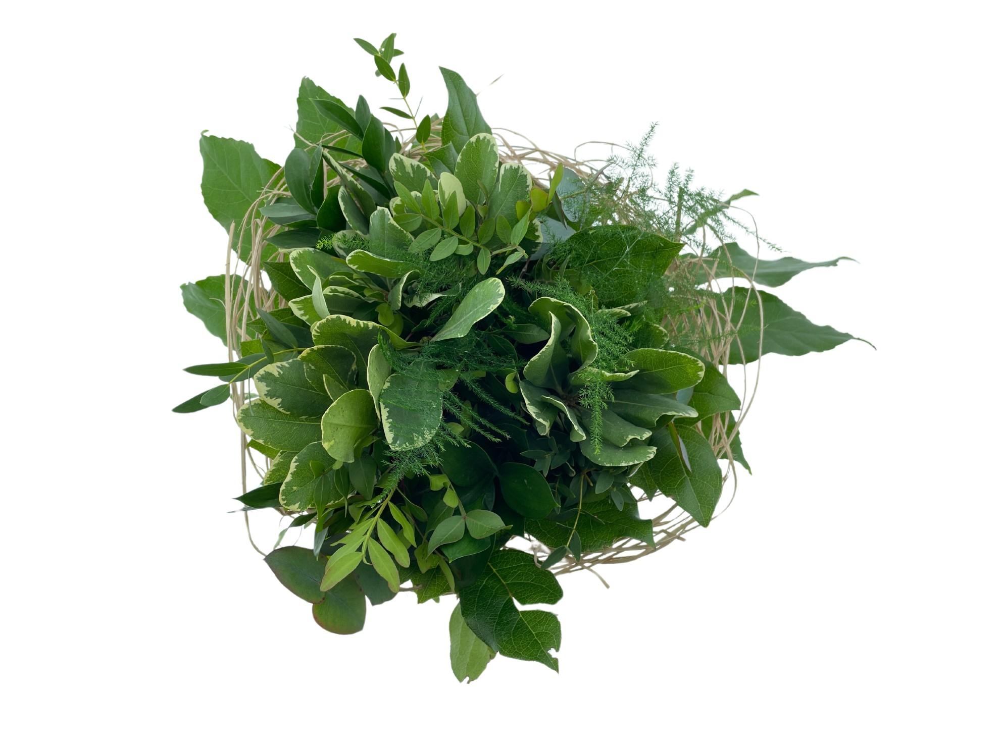 Срезанные цветы оптом Bouquet sisal green large от 1шт из Голландии с доставкой по России