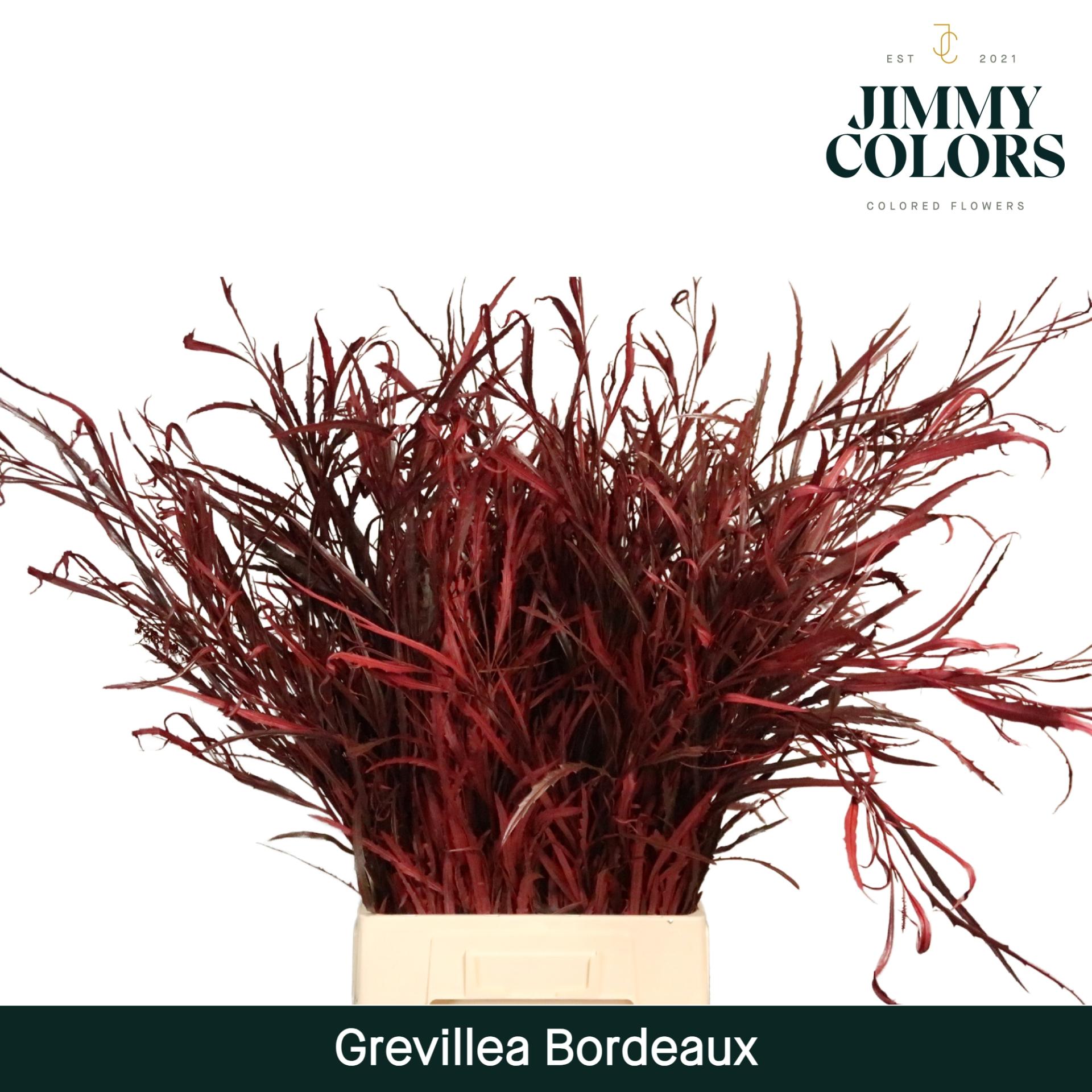 Срезанные цветы оптом Grevillea paint bordeaux от 10шт из Голландии с доставкой по России