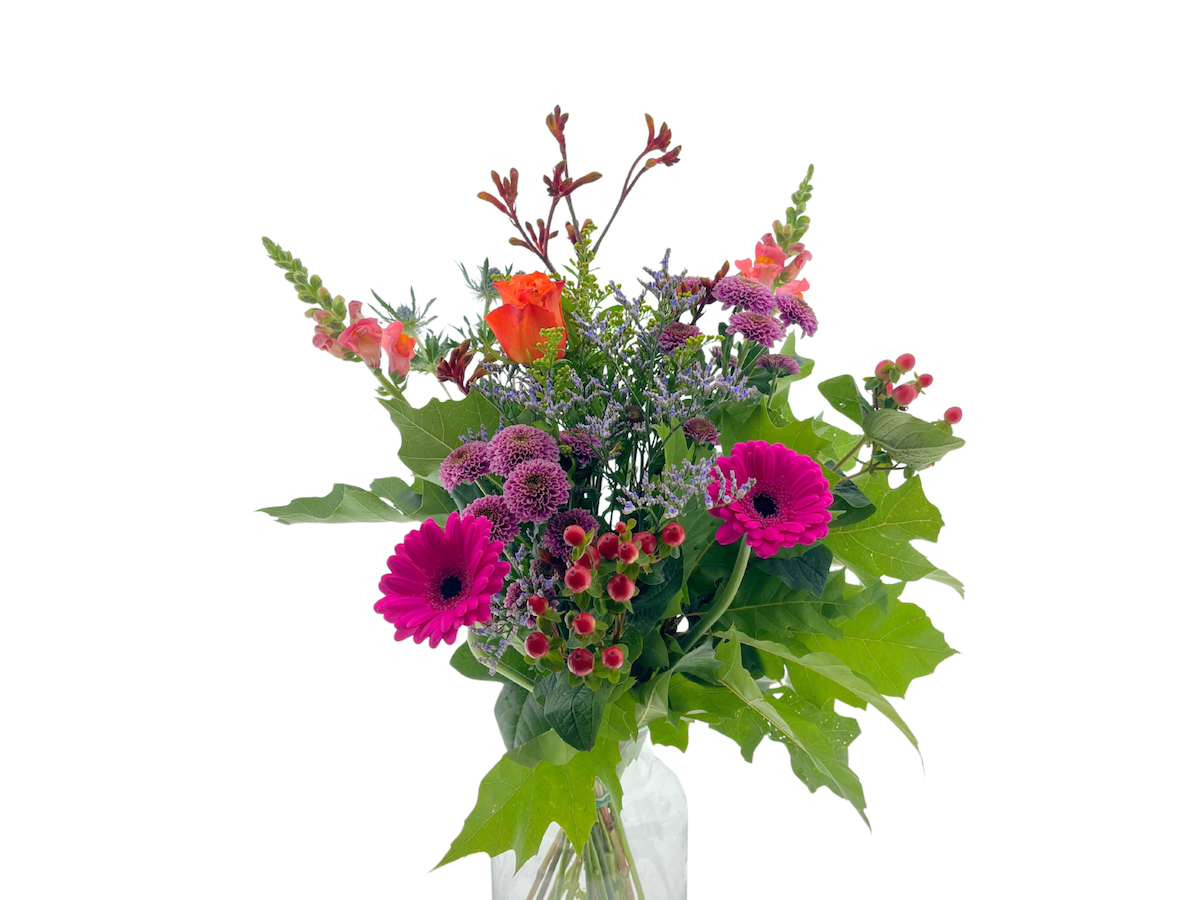 Срезанные цветы оптом BQ Field Jacky Autumn от 3шт из Голландии с доставкой по России