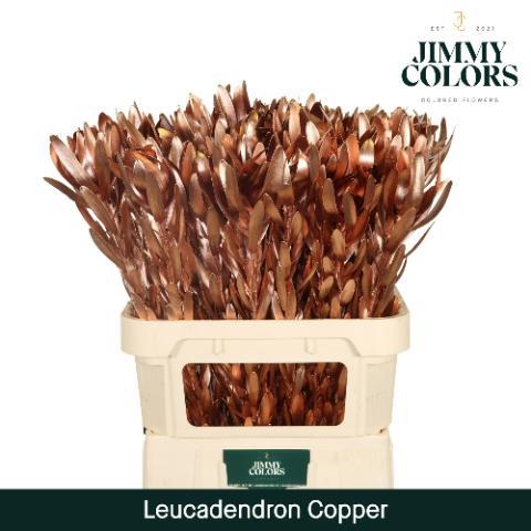 Срезанные цветы оптом Leucadendron paint metallic copper от 80шт из Голландии с доставкой по России