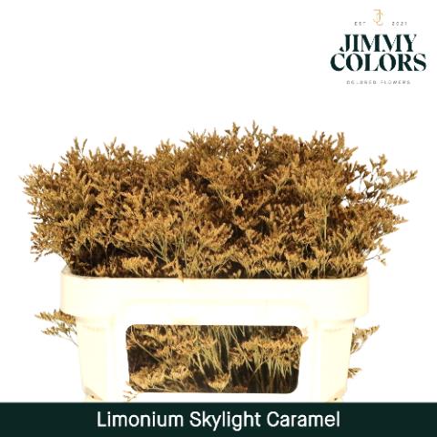 Срезанные цветы оптом Limonium paint caramel от 25шт из Голландии с доставкой по России