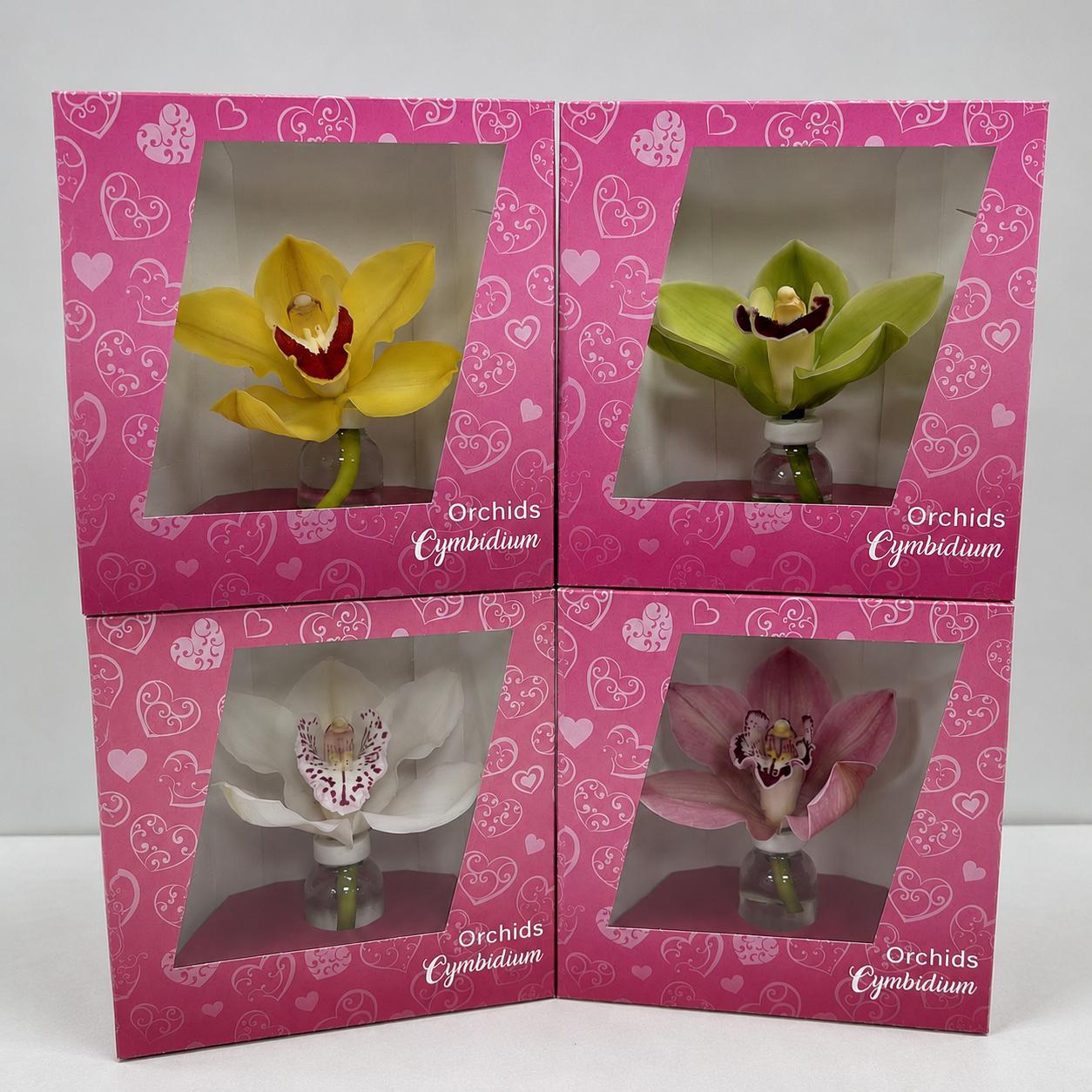 Срезанные цветы оптом Cymbidium packed per flower от 12шт из Голландии с доставкой по России