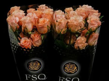 Срезанные цветы оптом Rosa ec shimmer от 40шт. из Голландии с доставкой по России