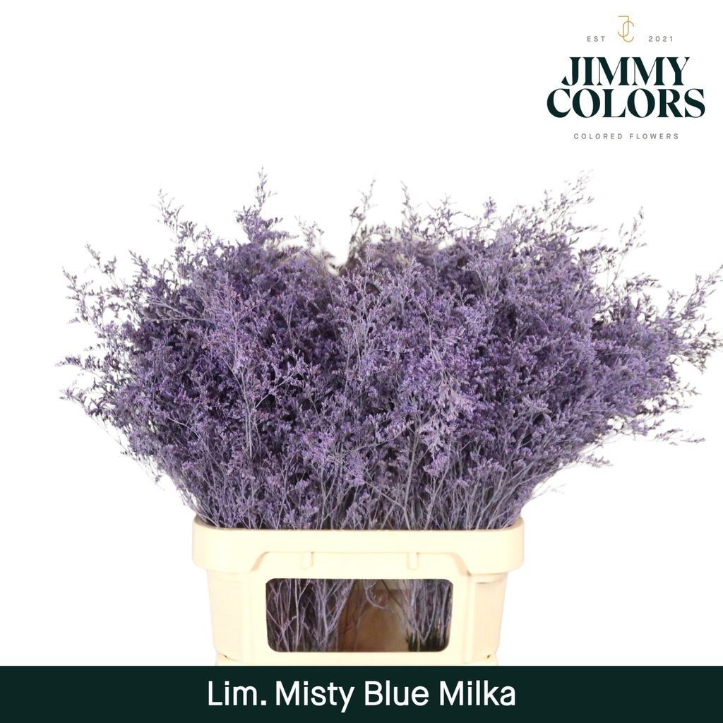 Срезанные цветы оптом Limonium misty blue paint milka от 50шт из Голландии с доставкой по России