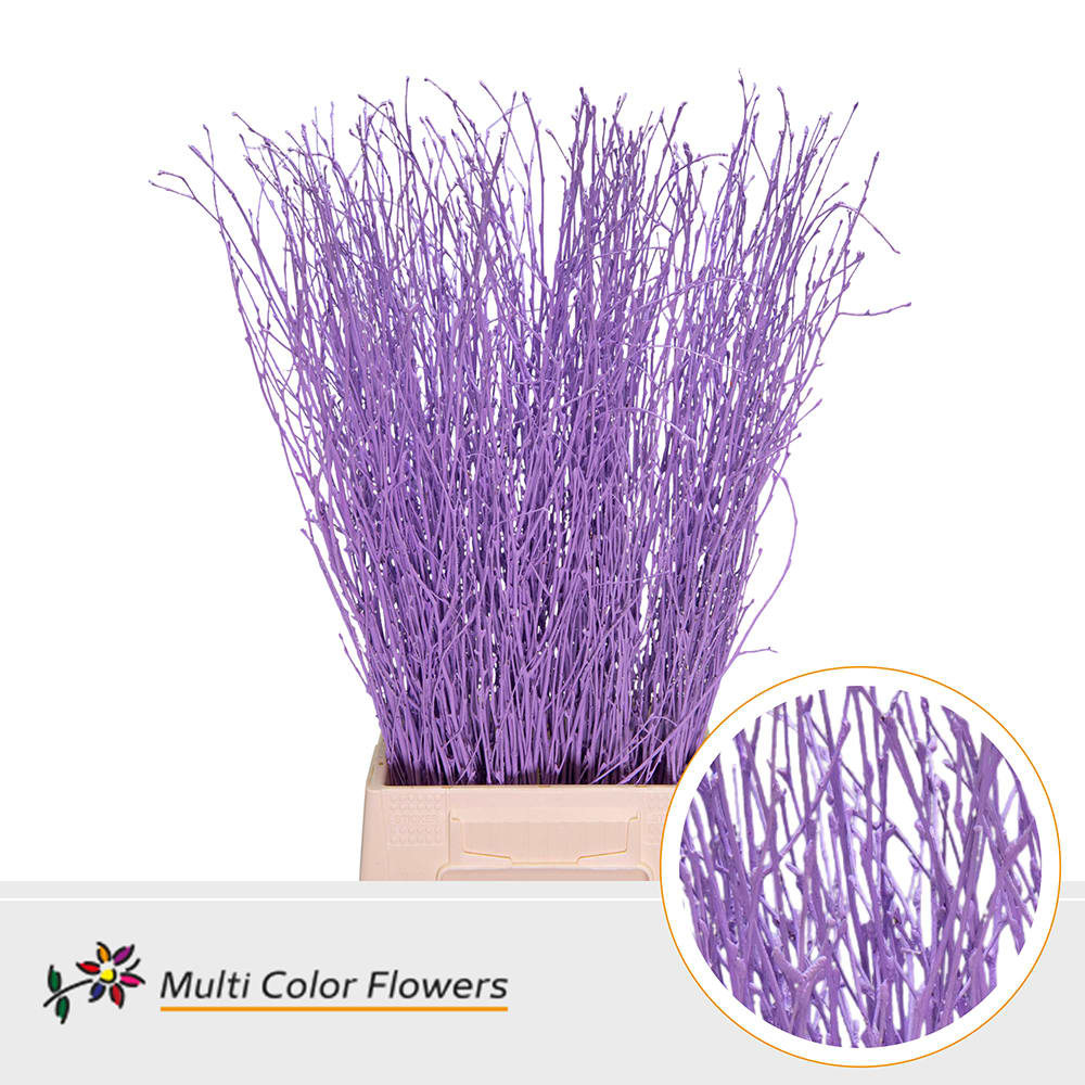 Срезанные цветы оптом Betula paint milka от 100шт. из Голландии с доставкой по России