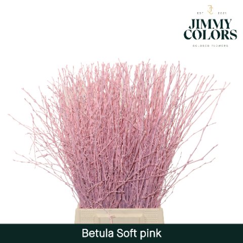 Срезанные цветы оптом Betula paint pink light от 20шт из Голландии с доставкой по России