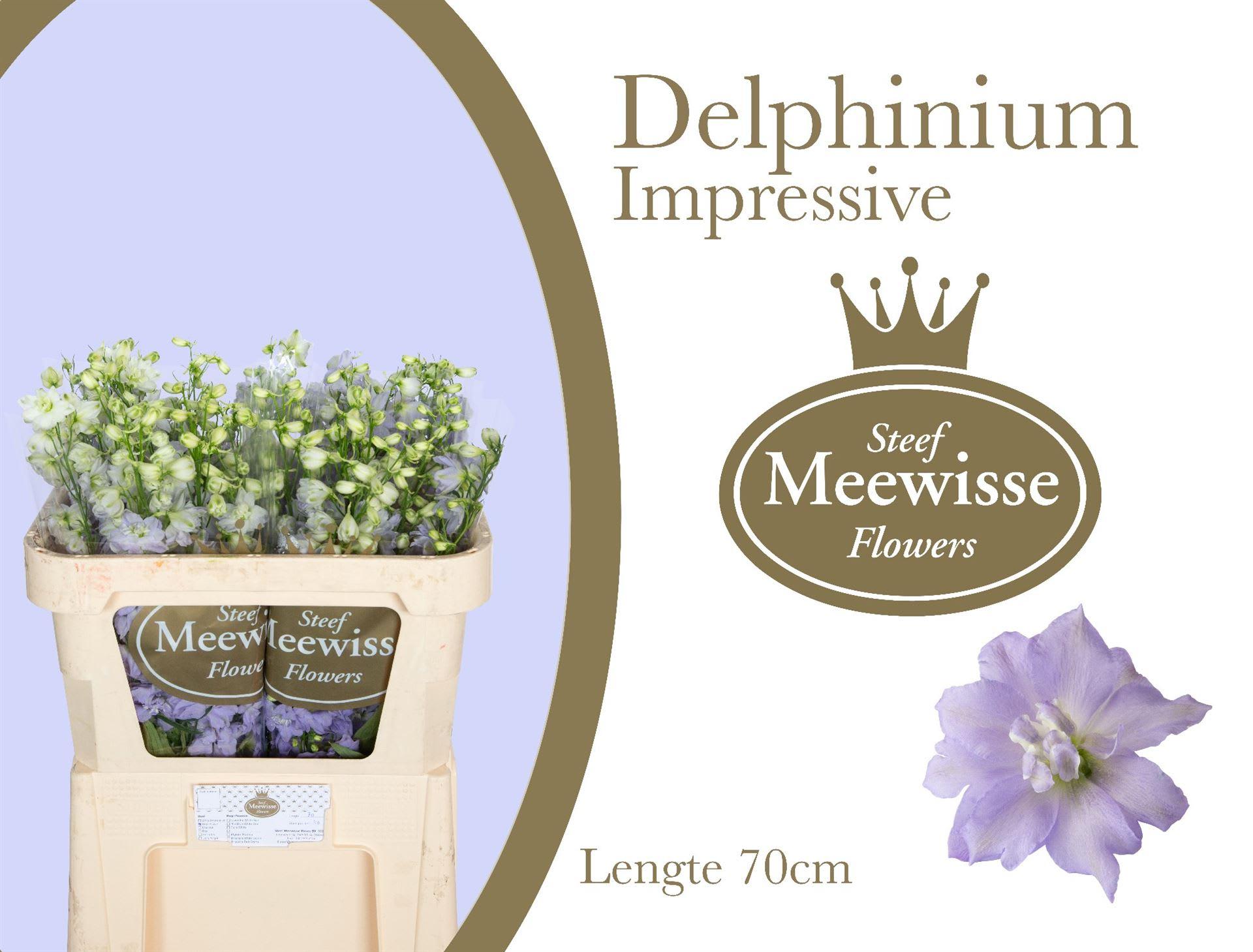 Срезанные цветы оптом Delphinium el du dewi impressive от 40шт из Голландии с доставкой по России