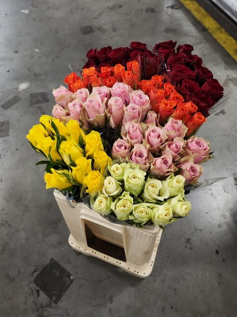 Срезанные цветы оптом Rosa large mix in bucket от 80шт из Голландии с доставкой по России