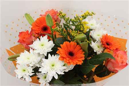 Срезанные цветы оптом Bouquet 2 от 5шт из Голландии с доставкой по России
