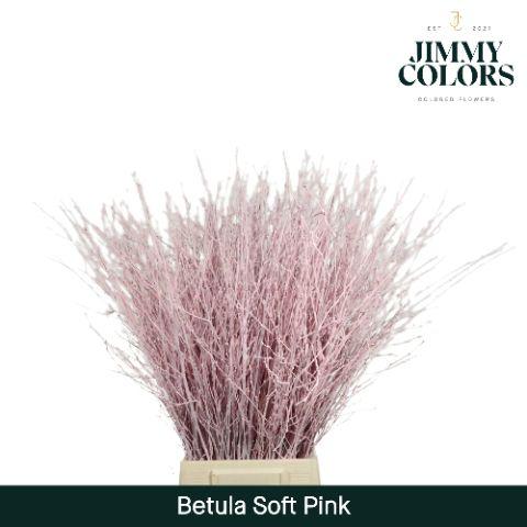 Срезанные цветы оптом Betula paint pink light от 10шт из Голландии с доставкой по России