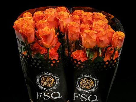 Срезанные цветы оптом Rosa ec tycoon от 20шт из Голландии с доставкой по России