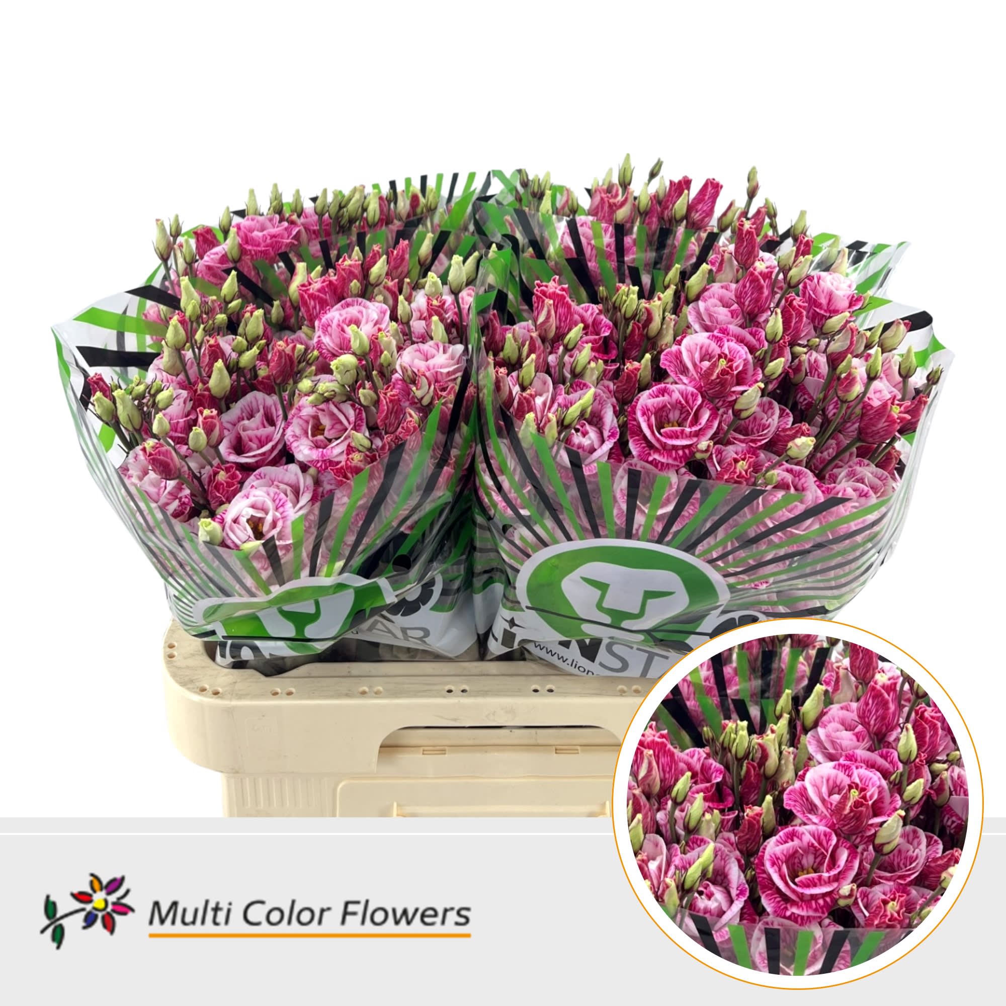 Срезанные цветы оптом Lisianthus do paint hot pink от 40шт из Голландии с доставкой по России