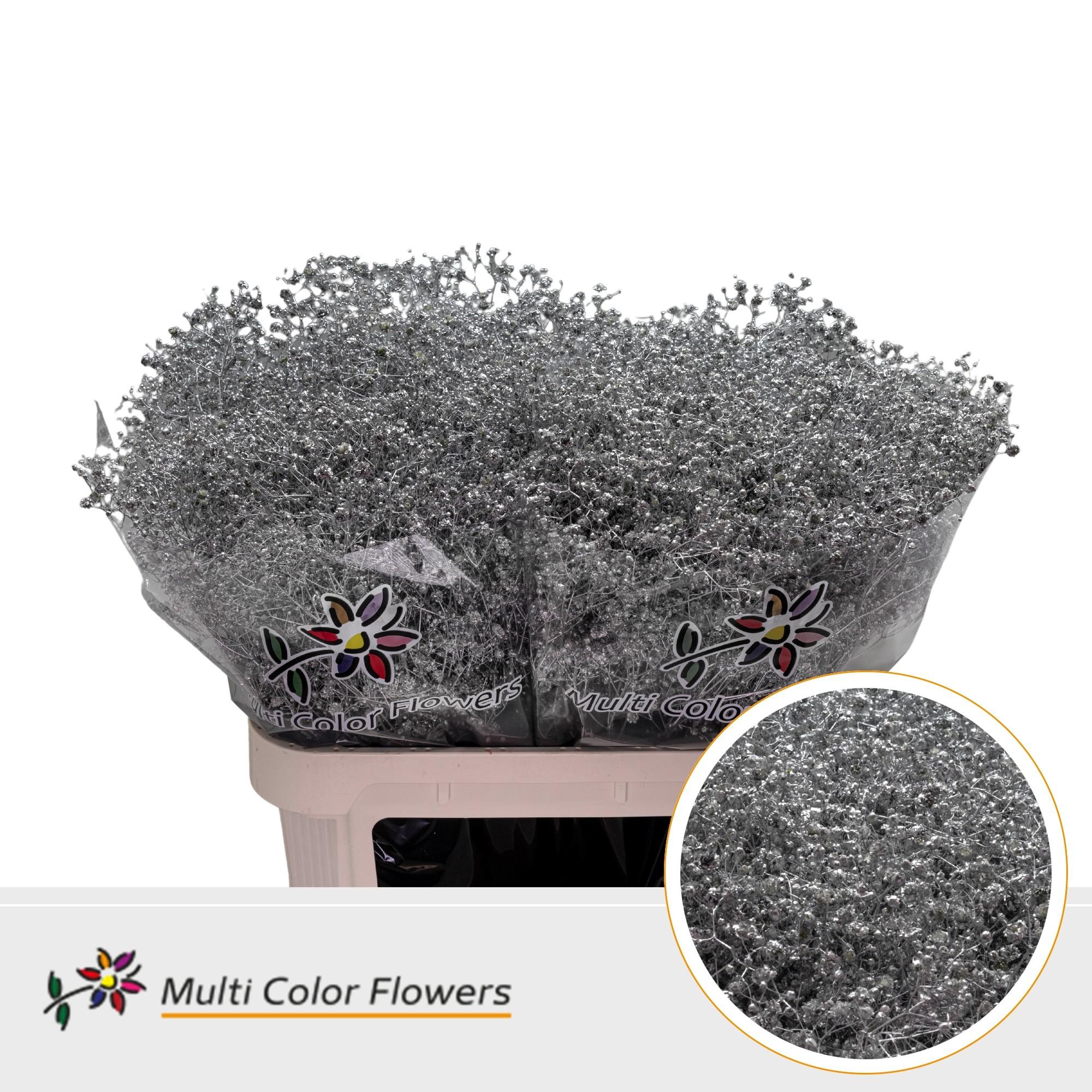 Срезанные цветы оптом Gyps large paint silver от 50шт из Голландии с доставкой по России