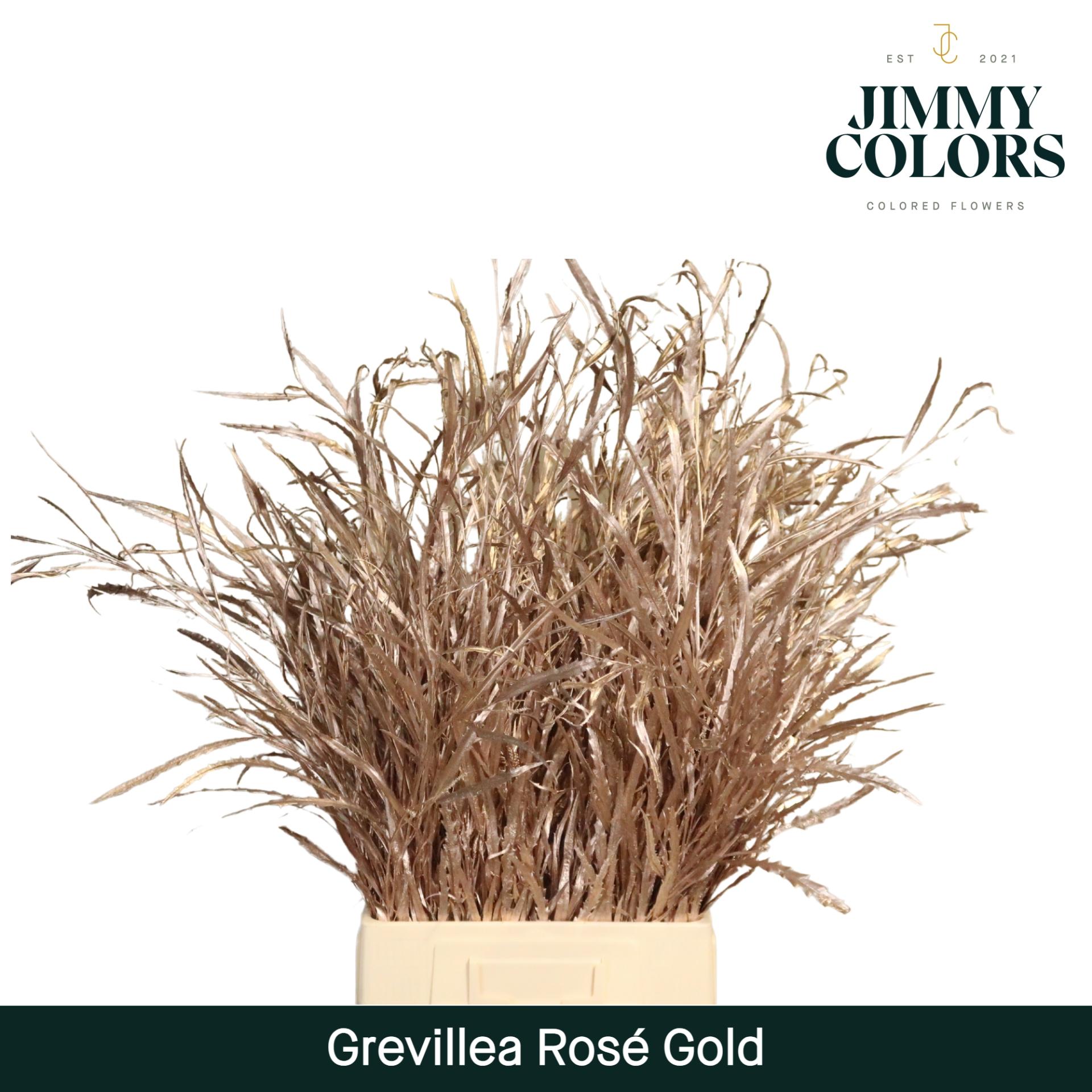 Срезанные цветы оптом Grevillea paint pink gold от 10шт из Голландии с доставкой по России
