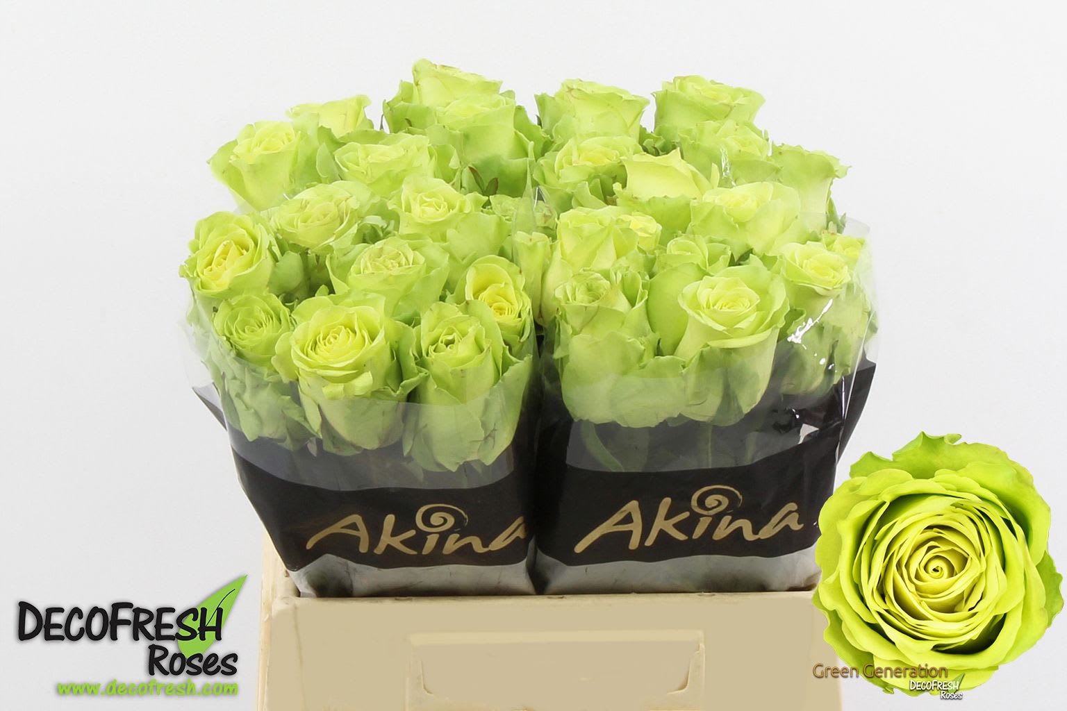 Срезанные цветы оптом Rosa large green generation от 40шт из Голландии с доставкой по России