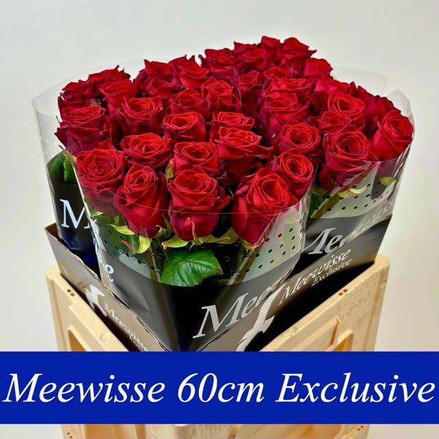Срезанные цветы оптом Rosa large red naomi! Exclusive от 40шт из Голландии с доставкой по России