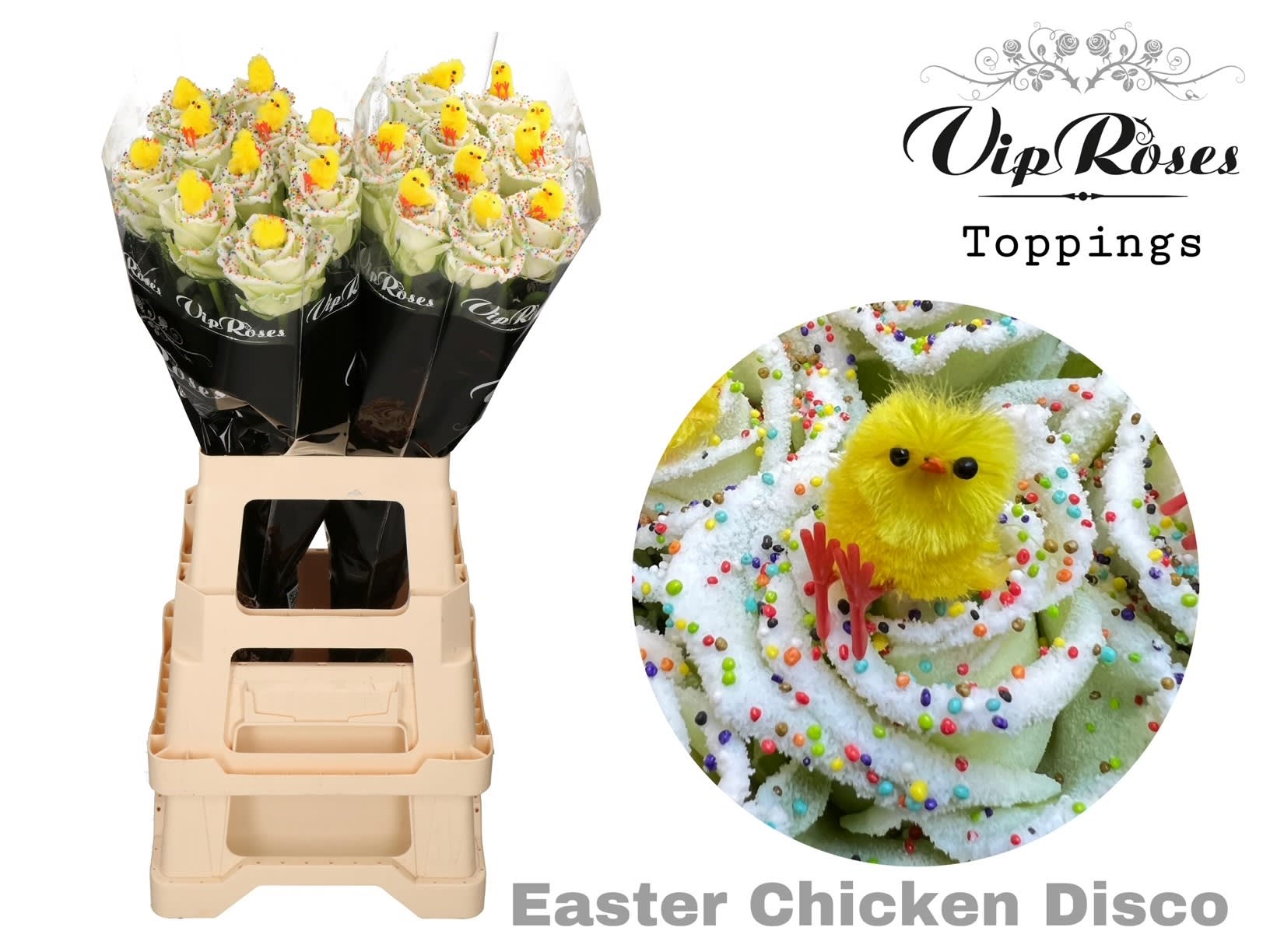 Срезанные цветы оптом Rosa large paint easter chicken disco (R331) от 20шт из Голландии с доставкой по России