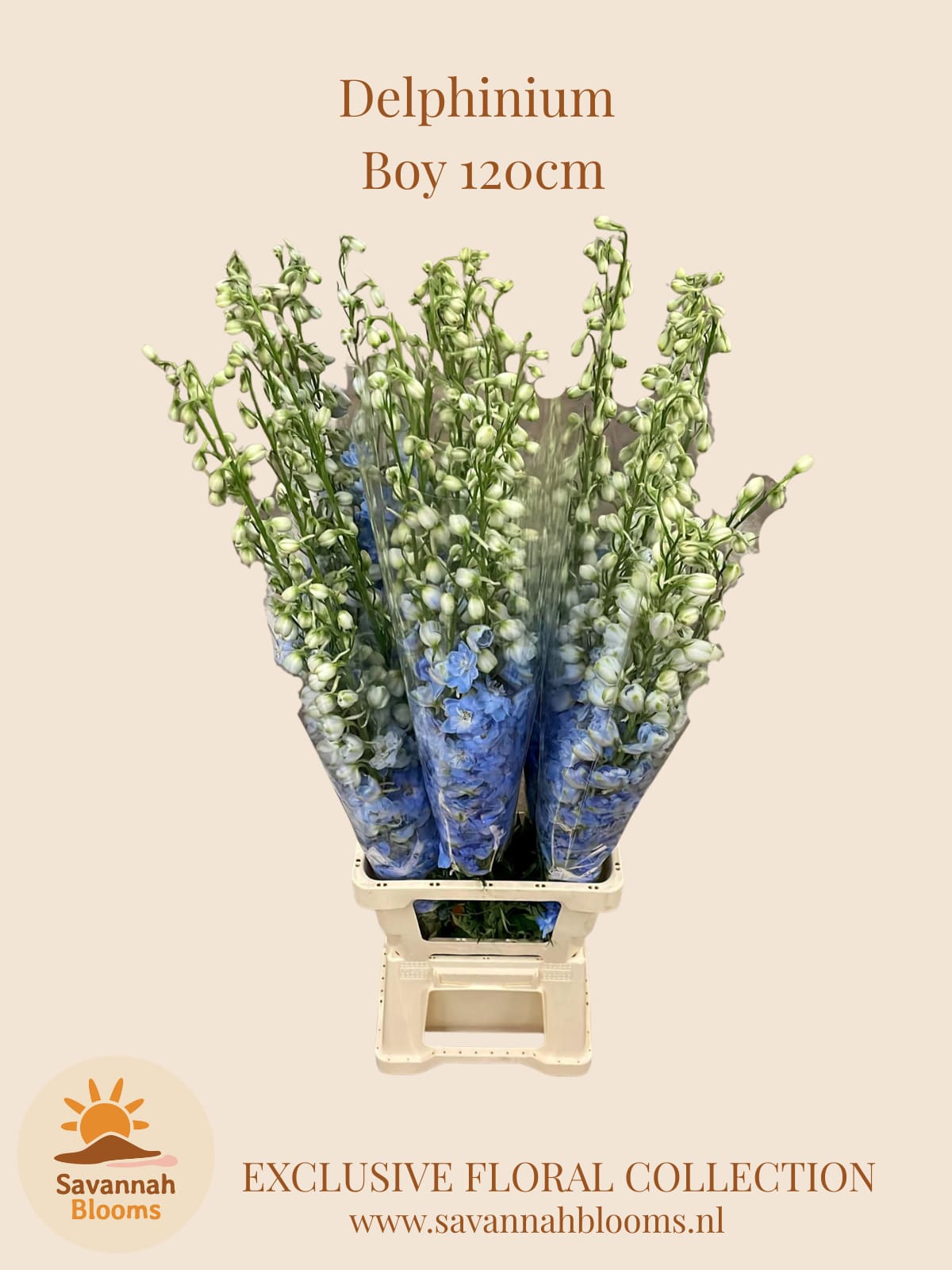 Срезанные цветы оптом Delphinium el dewi boy от 25шт из Голландии с доставкой по России