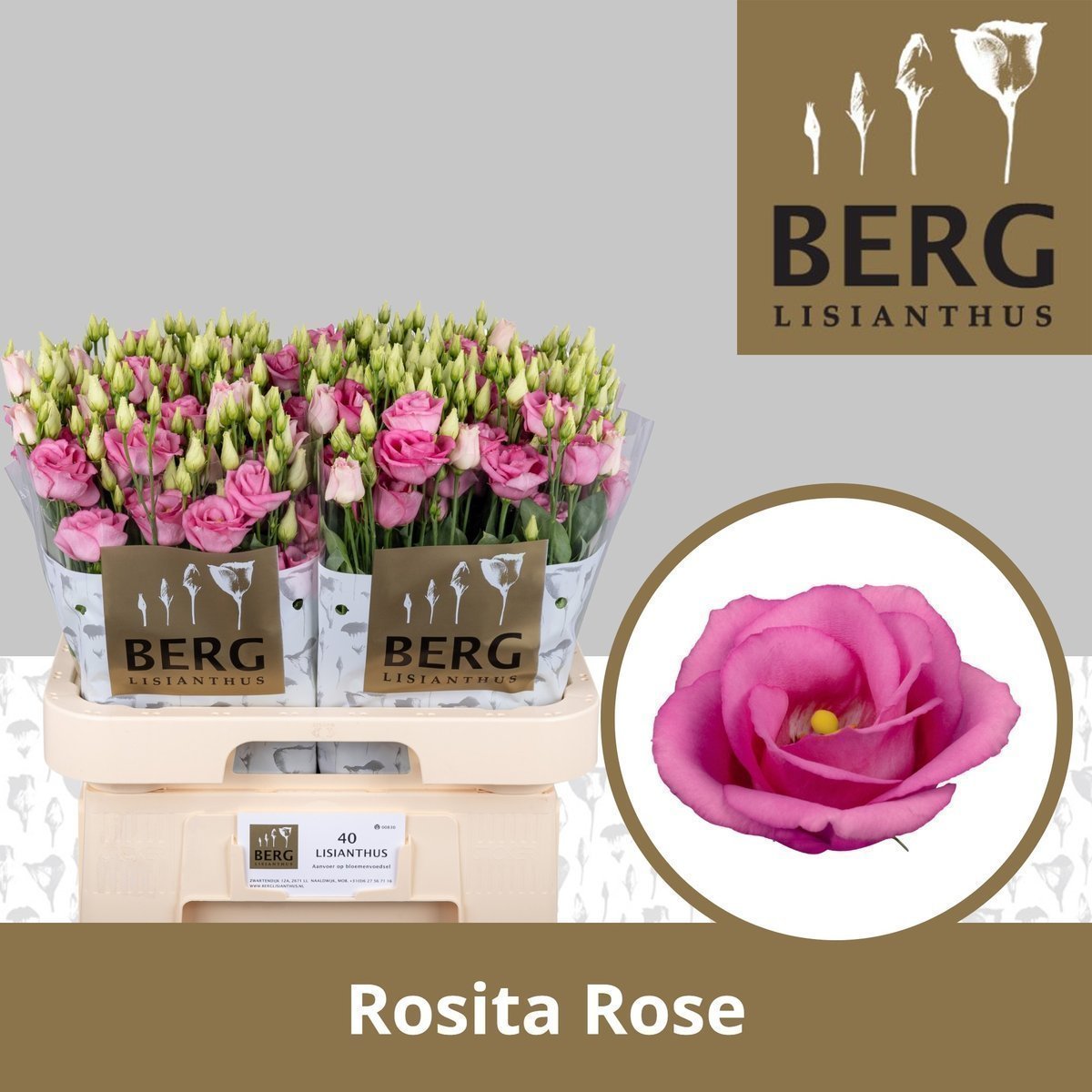 Срезанные цветы оптом Lisianthus do rosita pink от 40шт... из Голландии с доставкой по России