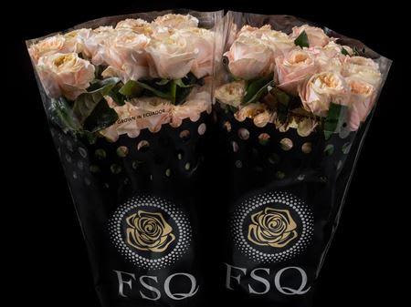 Срезанные цветы оптом Rosa garden melon expression от 40шт. из Голландии с доставкой по России