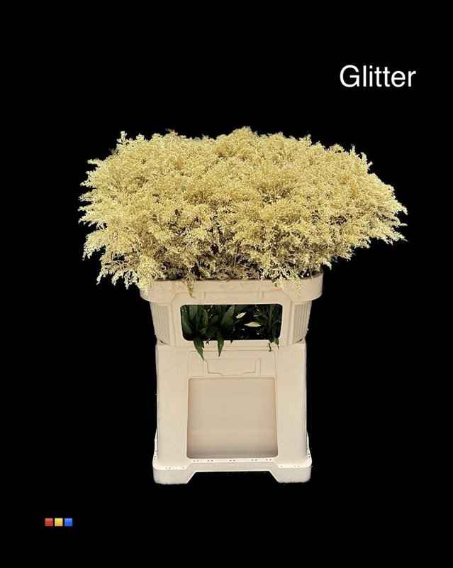 Срезанные цветы оптом Solidago paint gold + glitter от 100шт из Голландии с доставкой по России