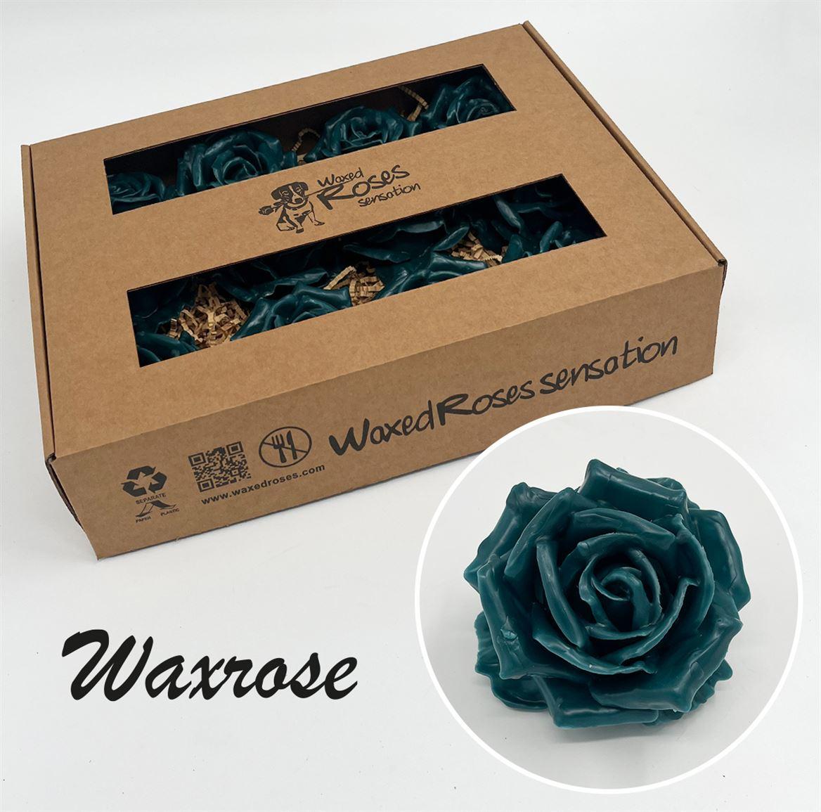 Срезанные цветы оптом Rosa large silk wax green dark от 12шт из Голландии с доставкой по России