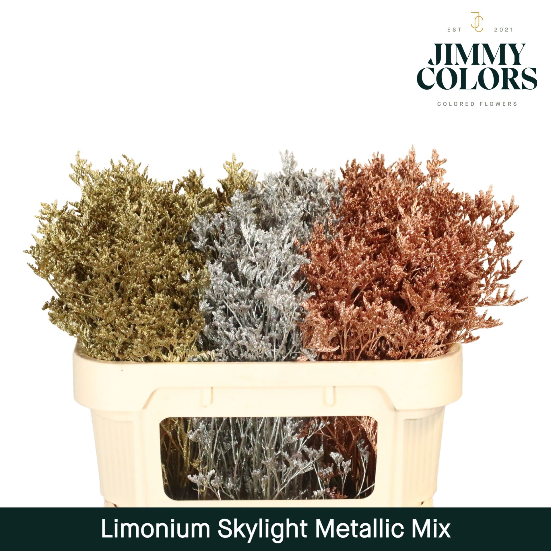 Срезанные цветы оптом Limonium paint mix metallic christmas от 75шт из Голландии с доставкой по России
