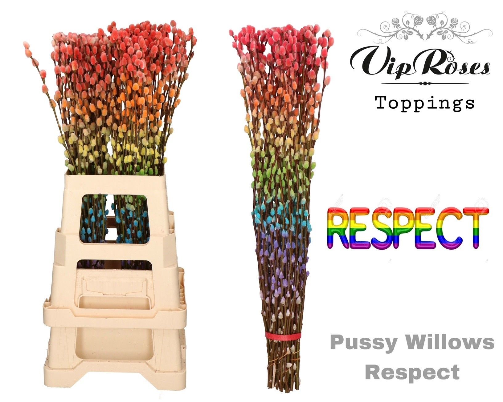 Срезанные цветы оптом Salix paint pussy willow respect от 100шт из Голландии с доставкой по России