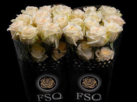 Срезанные цветы оптом Rosa ec candlelight от 40шт из Голландии с доставкой по России