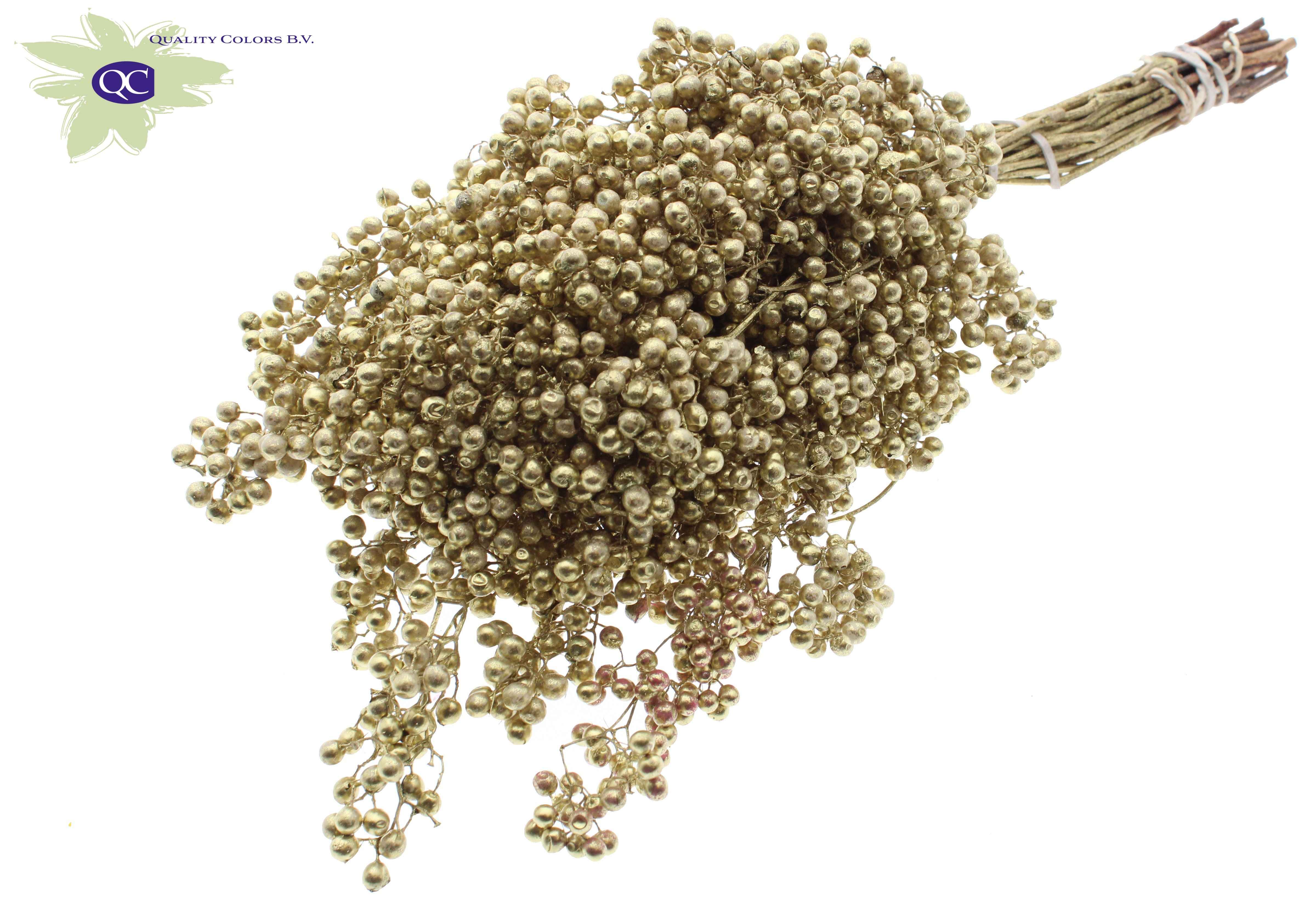 Срезанные цветы оптом Pepperberries per bunch in poly gold от 5шт из Голландии с доставкой по России