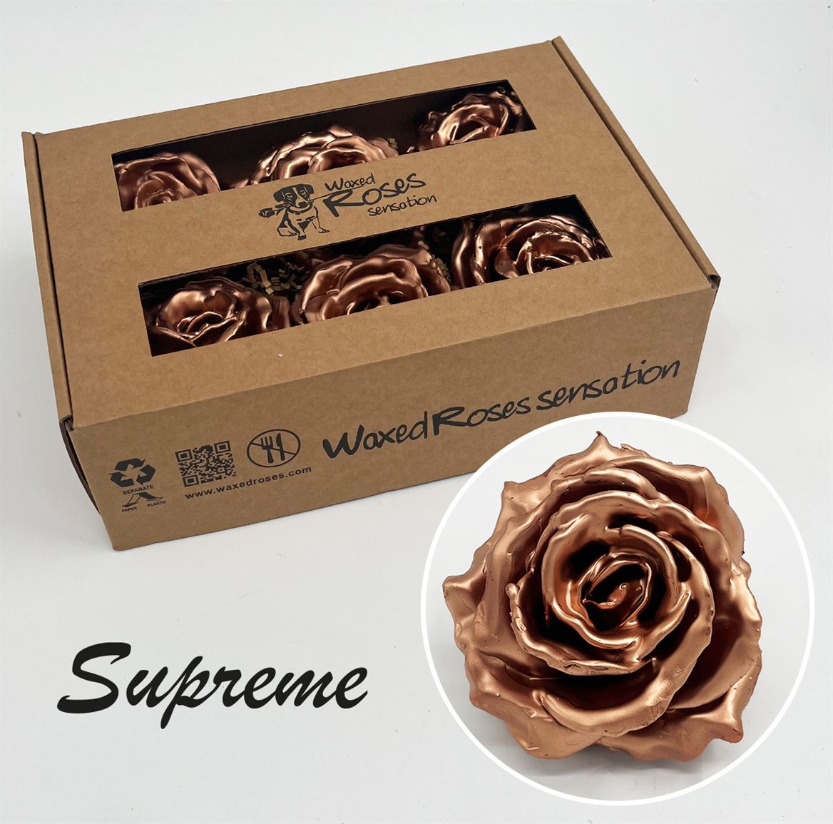 Срезанные цветы оптом Rosa large silk wax copper от 6шт из Голландии с доставкой по России