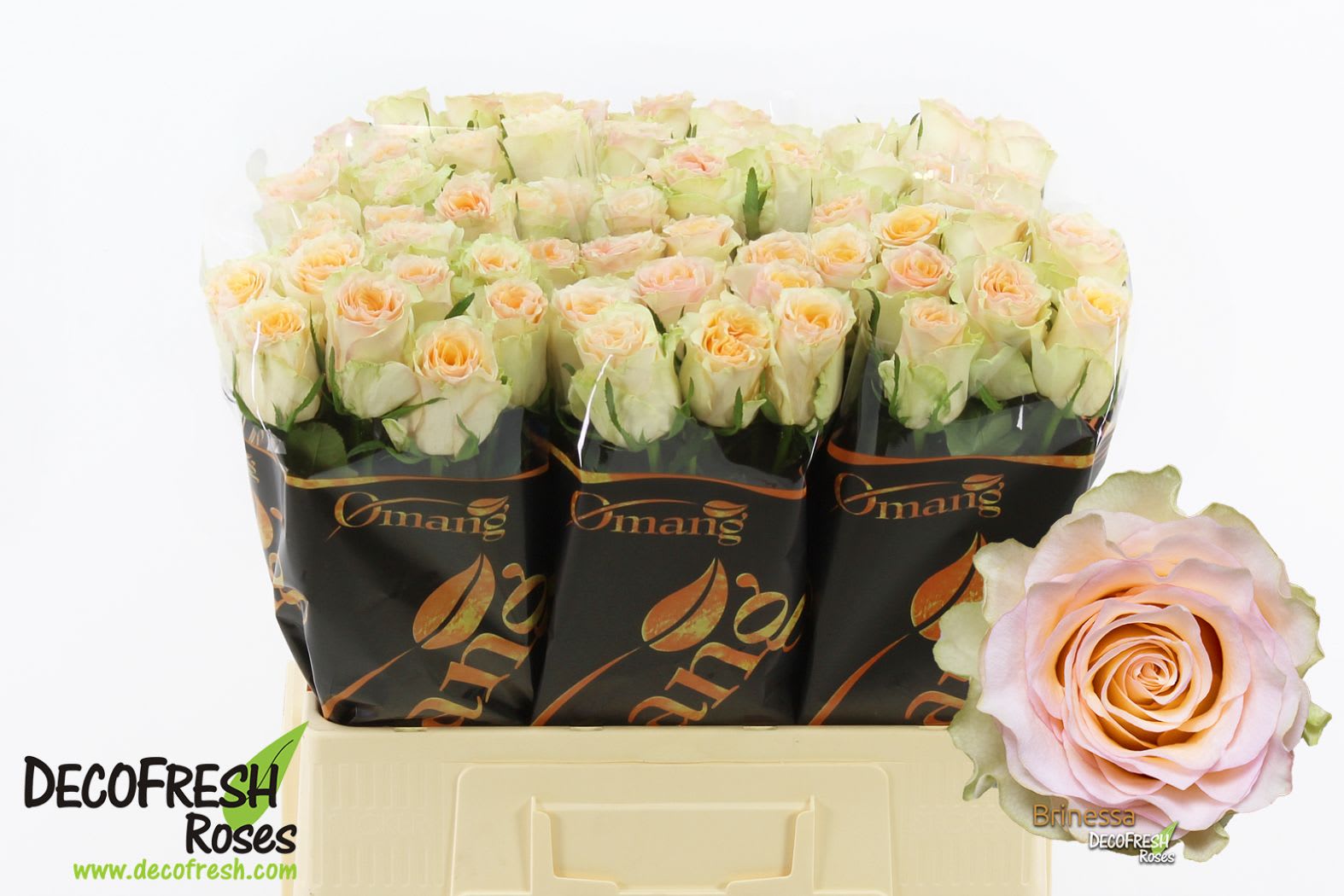 Срезанные цветы оптом Rosa large brinessa от 80шт. из Голландии с доставкой по России